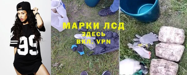 ALPHA PVP Аркадак