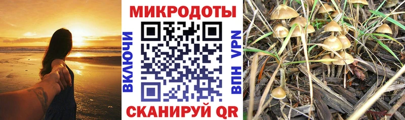 ссылка на мегу рабочий сайт  Куса  Псилоцибиновые грибы MAGIC MUSHROOMS 